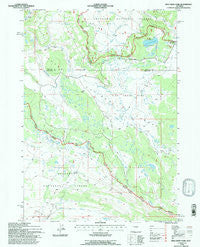 Fish Creek Park Wyoming Historical topographic map, 1:24000 scale, 7.5 X 7.5 Minute, Year 1991