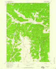Fish Lake Wyoming Historical topographic map, 1:24000 scale, 7.5 X 7.5 Minute, Year 1956
