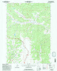 Fish Lake Wyoming Historical topographic map, 1:24000 scale, 7.5 X 7.5 Minute, Year 1991
