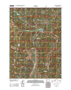 Fish Lake Wyoming Historical topographic map, 1:24000 scale, 7.5 X 7.5 Minute, Year 2012