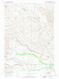 Fort Washakie Wyoming Historical topographic map, 1:24000 scale, 7.5 X 7.5 Minute, Year 1951