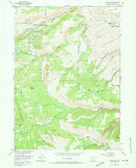 Fossil Hill Wyoming Historical topographic map, 1:24000 scale, 7.5 X 7.5 Minute, Year 1953