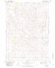 Funny Rock Wyoming Historical topographic map, 1:24000 scale, 7.5 X 7.5 Minute, Year 1981