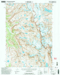 Gannett Peak Wyoming Historical topographic map, 1:24000 scale, 7.5 X 7.5 Minute, Year 1991