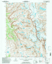 Gannett Peak Wyoming Historical topographic map, 1:24000 scale, 7.5 X 7.5 Minute, Year 1991