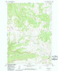 Granite Pass Wyoming Historical topographic map, 1:24000 scale, 7.5 X 7.5 Minute, Year 1960