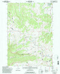Granite Pass Wyoming Historical topographic map, 1:24000 scale, 7.5 X 7.5 Minute, Year 1993