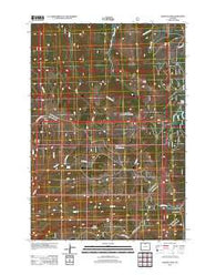 Granite Pass Wyoming Historical topographic map, 1:24000 scale, 7.5 X 7.5 Minute, Year 2012
