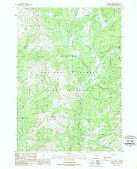 Gravel Peak Wyoming Historical topographic map, 1:24000 scale, 7.5 X 7.5 Minute, Year 1989