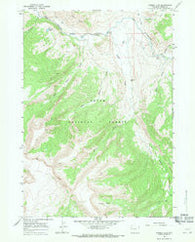 Grizzly Lake Wyoming Historical topographic map, 1:24000 scale, 7.5 X 7.5 Minute, Year 1965