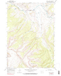 Grizzly Lake Wyoming Historical topographic map, 1:24000 scale, 7.5 X 7.5 Minute, Year 1965