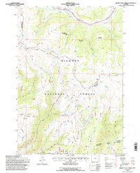 Hidden Tepee Creek Wyoming Historical topographic map, 1:24000 scale, 7.5 X 7.5 Minute, Year 1993