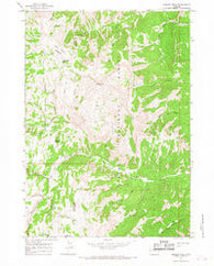 Hoback Peak Wyoming Historical topographic map, 1:24000 scale, 7.5 X 7.5 Minute, Year 1965