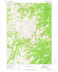 Hoback Peak Wyoming Historical topographic map, 1:24000 scale, 7.5 X 7.5 Minute, Year 1965