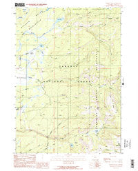 Hominy Peak Wyoming Historical topographic map, 1:24000 scale, 7.5 X 7.5 Minute, Year 1989