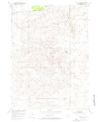 Indian Butte Wyoming Historical topographic map, 1:24000 scale, 7.5 X 7.5 Minute, Year 1951