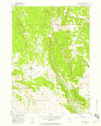 Indian Point Wyoming Historical topographic map, 1:24000 scale, 7.5 X 7.5 Minute, Year 1956