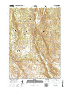 Indian Point Wyoming Current topographic map, 1:24000 scale, 7.5 X 7.5 Minute, Year 2015
