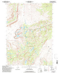 Ink Wells Wyoming Historical topographic map, 1:24000 scale, 7.5 X 7.5 Minute, Year 1991