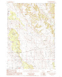 Iron Mountain Wyoming Historical topographic map, 1:24000 scale, 7.5 X 7.5 Minute, Year 1984