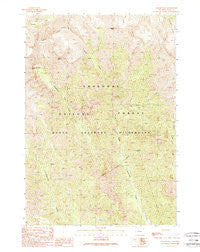 Jaggar Peak Wyoming Historical topographic map, 1:24000 scale, 7.5 X 7.5 Minute, Year 1989