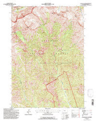 Jaggar Peak Wyoming Historical topographic map, 1:24000 scale, 7.5 X 7.5 Minute, Year 1991