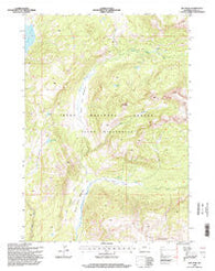 Joy Peak Wyoming Historical topographic map, 1:24000 scale, 7.5 X 7.5 Minute, Year 1996
