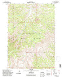 Lake Creek Wyoming Historical topographic map, 1:24000 scale, 7.5 X 7.5 Minute, Year 1991