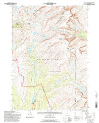 Lake Helen Wyoming Historical topographic map, 1:24000 scale, 7.5 X 7.5 Minute, Year 1993