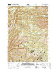 Lake Solitude Wyoming Current topographic map, 1:24000 scale, 7.5 X 7.5 Minute, Year 2015