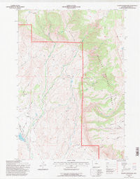 Leavitt Reservoir Wyoming Historical topographic map, 1:24000 scale, 7.5 X 7.5 Minute, Year 1993