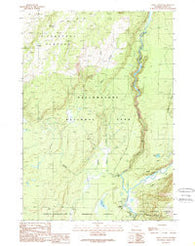 Lewis Canyon Wyoming Historical topographic map, 1:24000 scale, 7.5 X 7.5 Minute, Year 1989