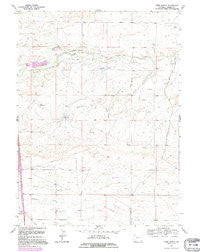 Lewis Ranch Wyoming Historical topographic map, 1:24000 scale, 7.5 X 7.5 Minute, Year 1991