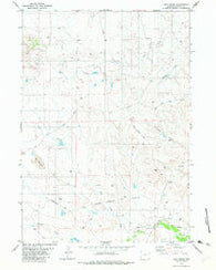 Lion Creek Wyoming Historical topographic map, 1:24000 scale, 7.5 X 7.5 Minute, Year 1982
