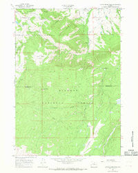 Little Goose Peak Wyoming Historical topographic map, 1:24000 scale, 7.5 X 7.5 Minute, Year 1965