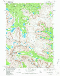 Lizard Head Peak Wyoming Historical topographic map, 1:24000 scale, 7.5 X 7.5 Minute, Year 1981