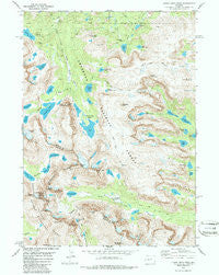 Lizard Head Peak Wyoming Historical topographic map, 1:24000 scale, 7.5 X 7.5 Minute, Year 1981