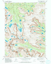 Lizard Head Peak Wyoming Historical topographic map, 1:24000 scale, 7.5 X 7.5 Minute, Year 1981