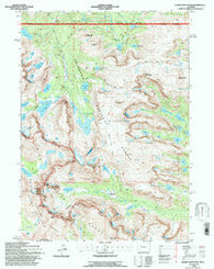 Lizard Head Peak Wyoming Historical topographic map, 1:24000 scale, 7.5 X 7.5 Minute, Year 1991