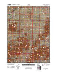Lone Mountain Wyoming Historical topographic map, 1:24000 scale, 7.5 X 7.5 Minute, Year 2012