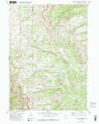 Lookout Mountain Wyoming Historical topographic map, 1:24000 scale, 7.5 X 7.5 Minute, Year 1980