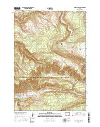 Madison Junction Wyoming Current topographic map, 1:24000 scale, 7.5 X 7.5 Minute, Year 2015