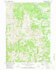 Man Peak Wyoming Historical topographic map, 1:24000 scale, 7.5 X 7.5 Minute, Year 1980