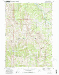 Man Peak Wyoming Historical topographic map, 1:24000 scale, 7.5 X 7.5 Minute, Year 1980