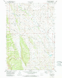 Mayoworth Wyoming Historical topographic map, 1:24000 scale, 7.5 X 7.5 Minute, Year 1979