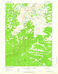 Medicine Bow Peak Wyoming Historical topographic map, 1:24000 scale, 7.5 X 7.5 Minute, Year 1961