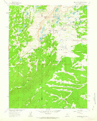 Medicine Bow Peak Wyoming Historical topographic map, 1:24000 scale, 7.5 X 7.5 Minute, Year 1961