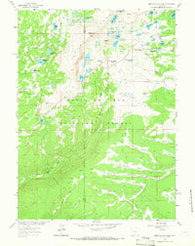 Medicine Bow Peak Wyoming Historical topographic map, 1:24000 scale, 7.5 X 7.5 Minute, Year 1961