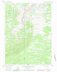 Medicine Bow Peak Wyoming Historical topographic map, 1:24000 scale, 7.5 X 7.5 Minute, Year 1961