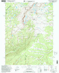 Medicine Bow Peak Wyoming Historical topographic map, 1:24000 scale, 7.5 X 7.5 Minute, Year 1992